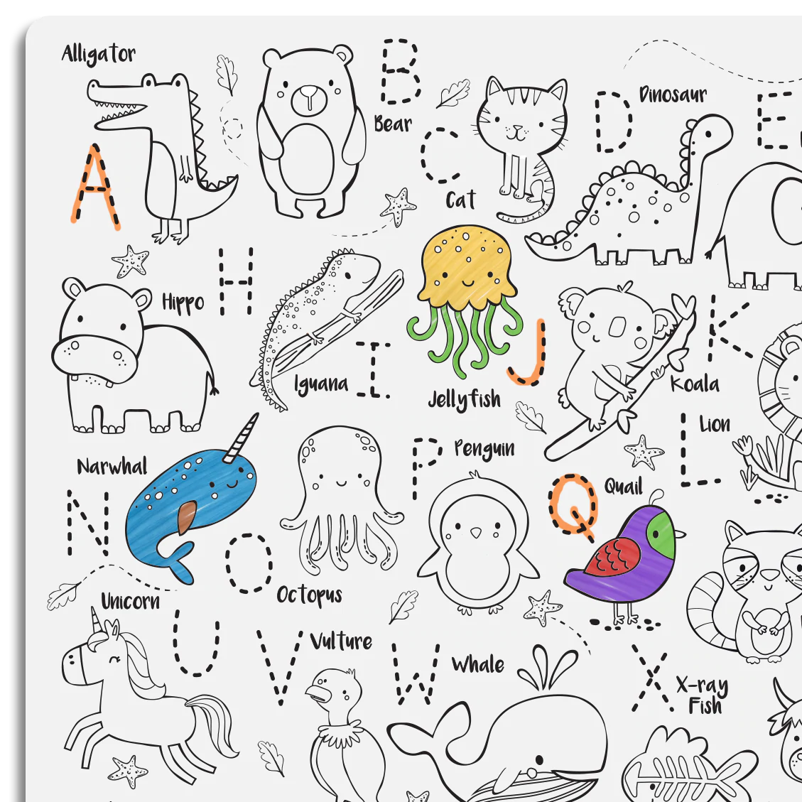 Wipeable Colouring In - Into the Wild