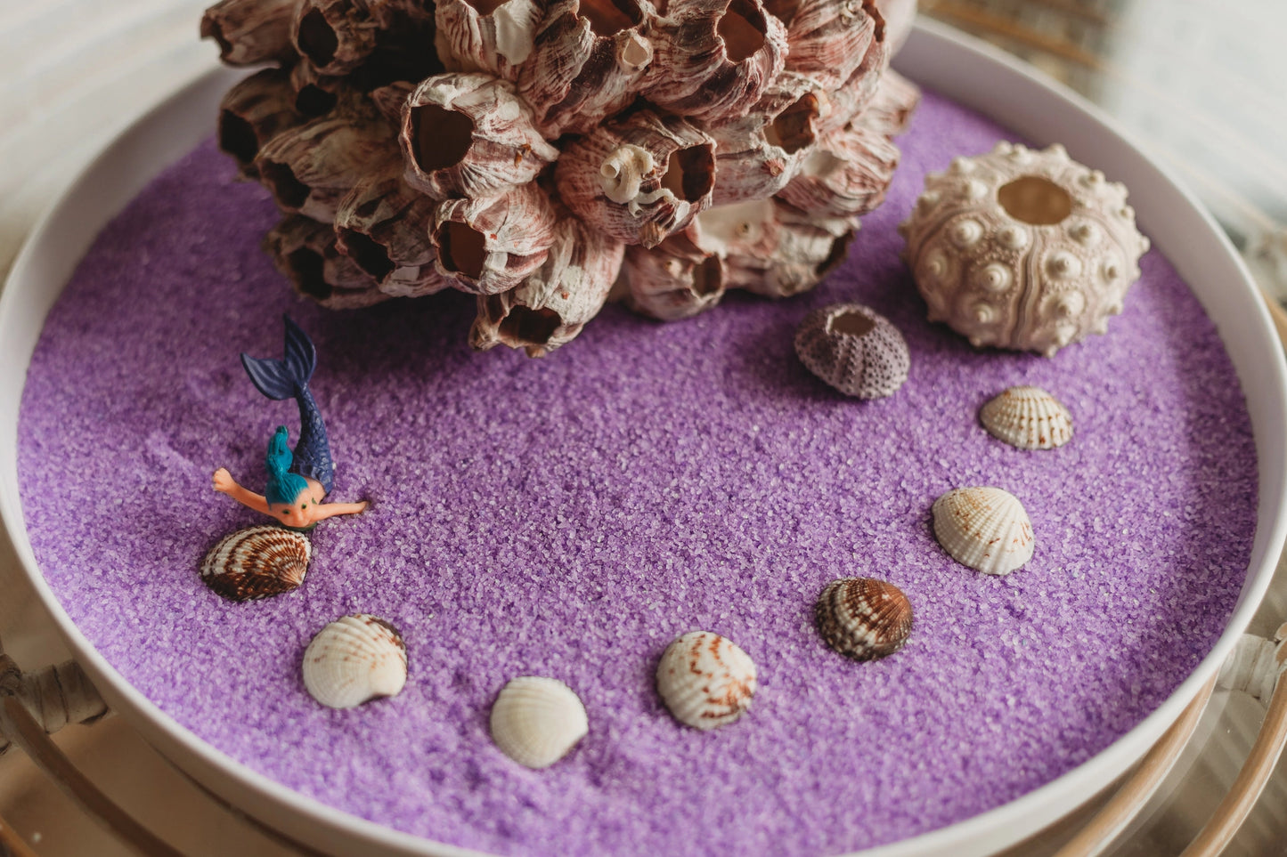 Sensory Salt - 700 gm - Urchin