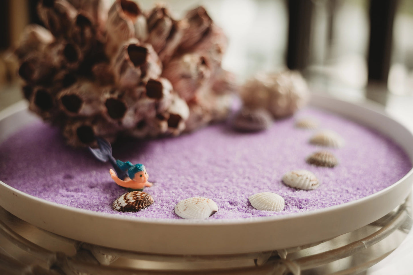 Sensory Salt - 700 gm - Urchin