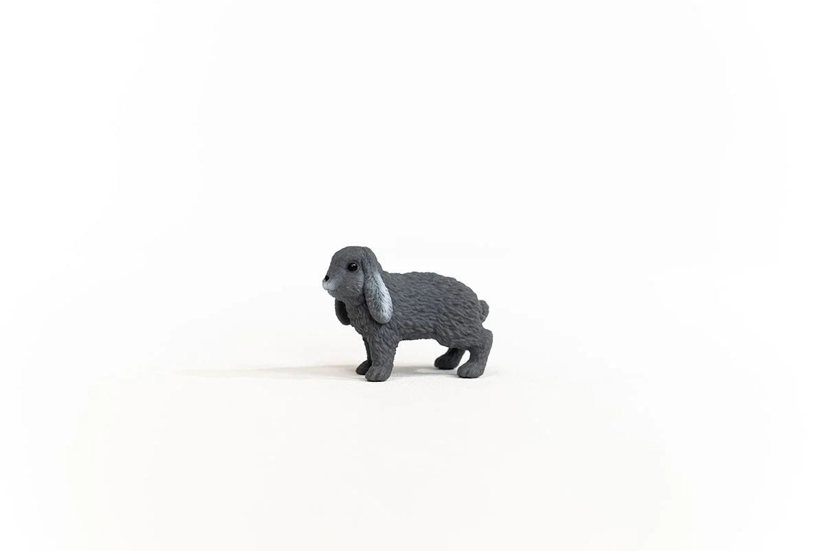 Rabbit - Lop Eared