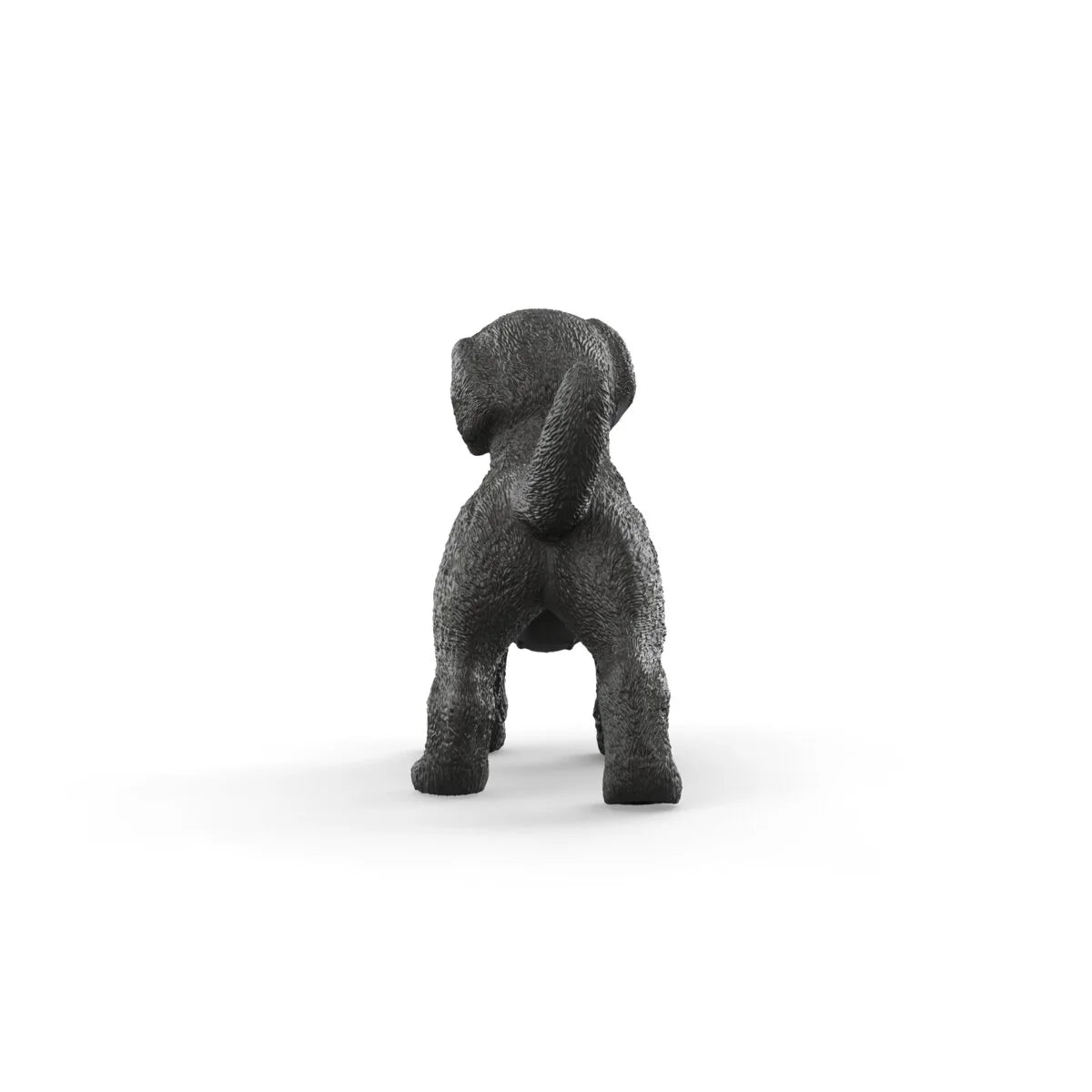 Black Labrador Retriever Puppy