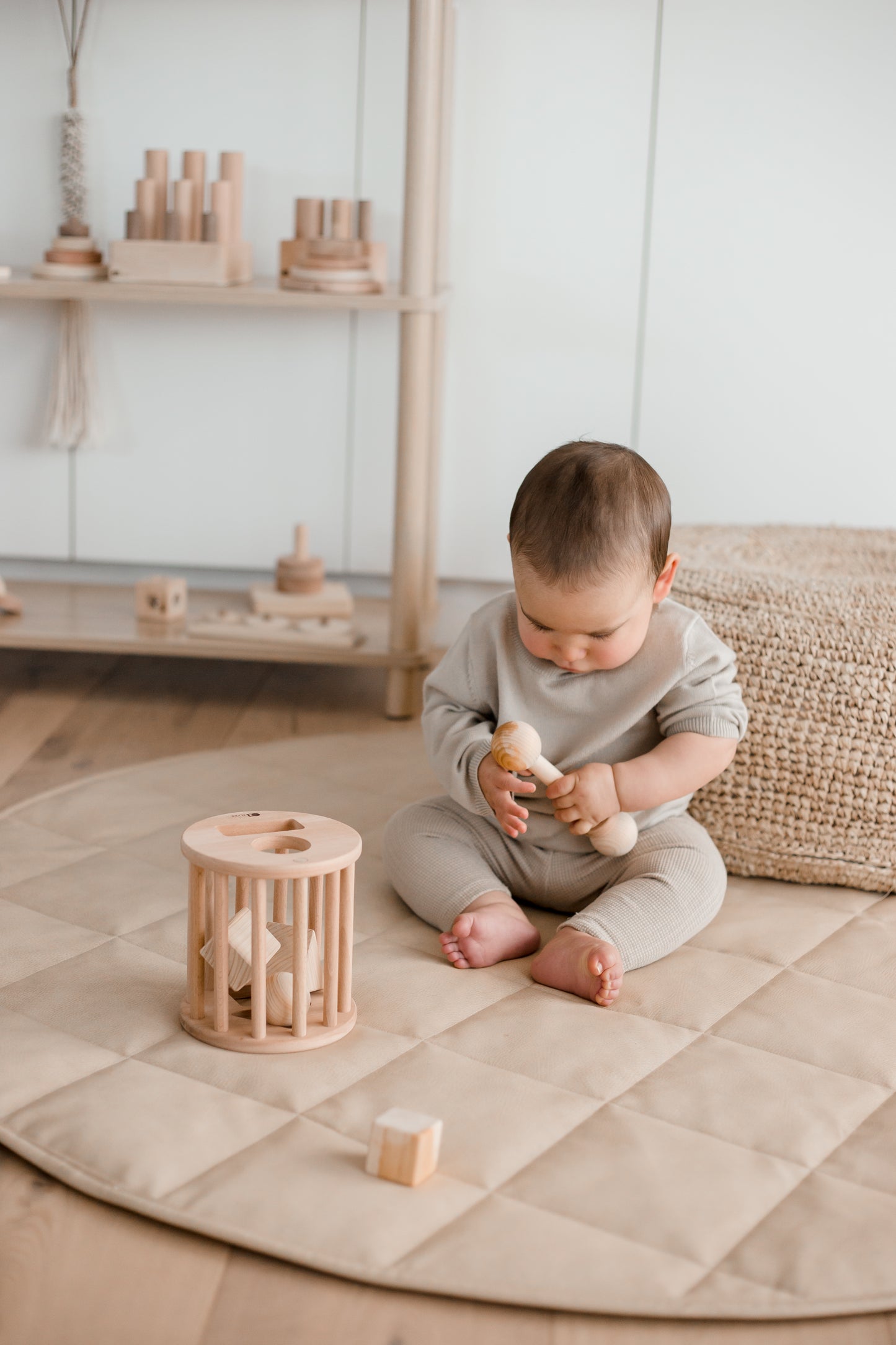 Roll Me Shape Sorter