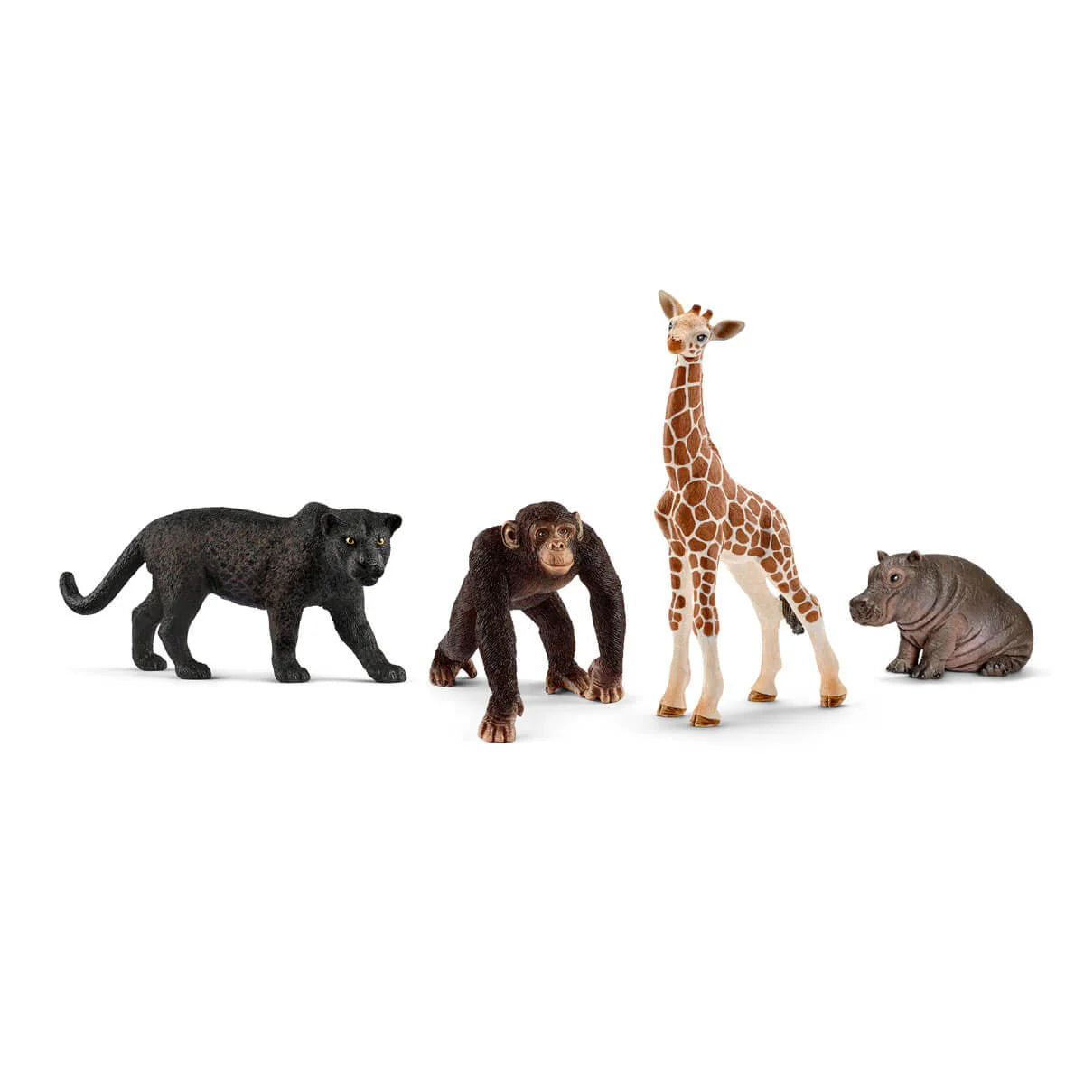 Wild Life Starter Set