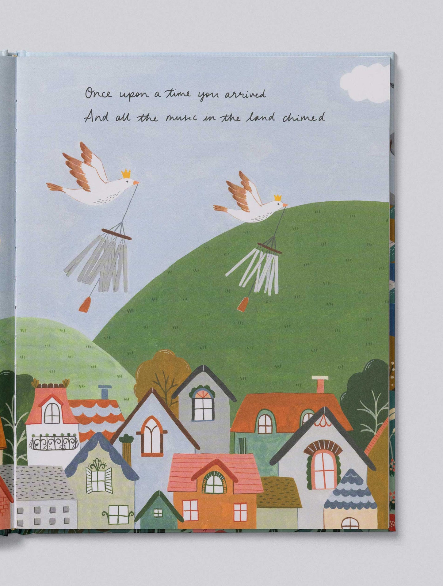 Your Baby Story - Illustrated Baby Journal