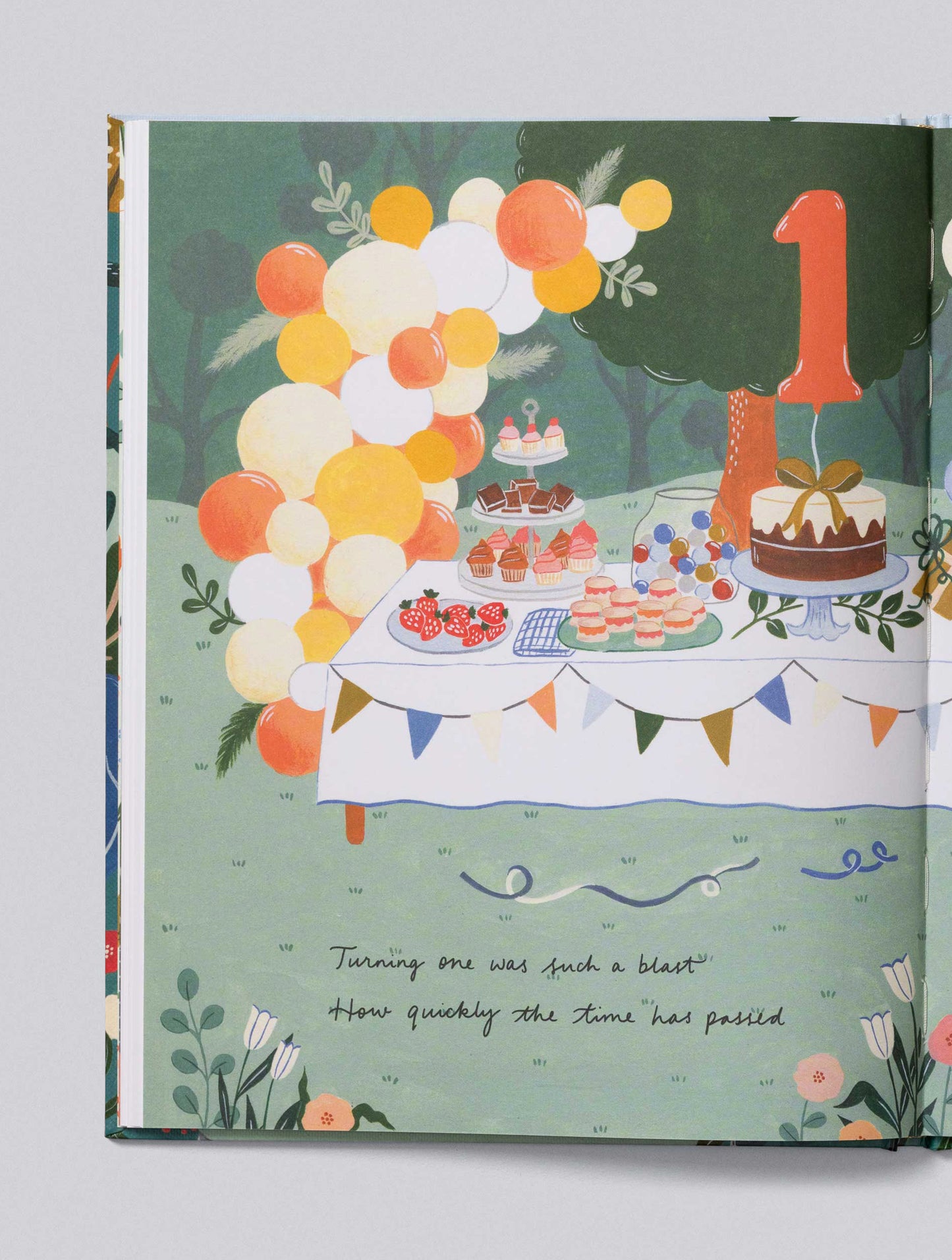 Your Baby Story - Illustrated Baby Journal