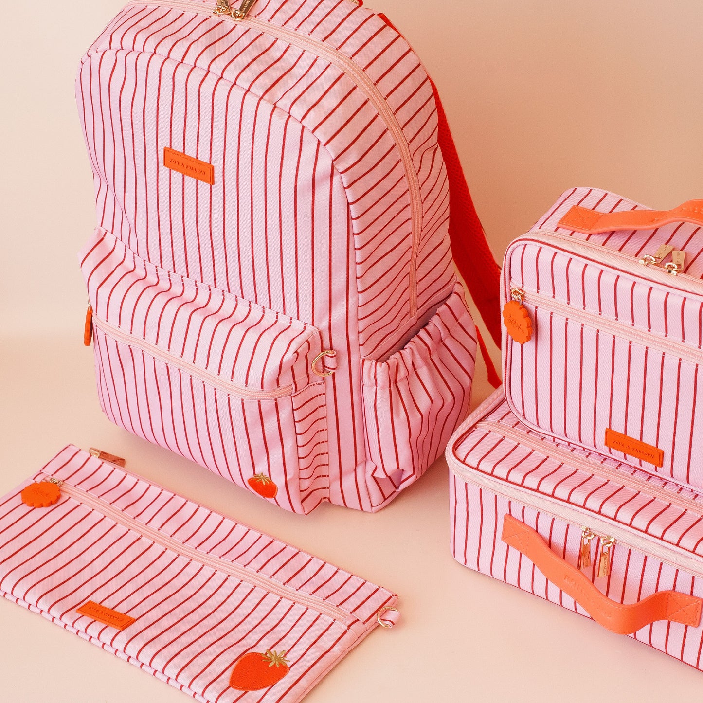 Large Pencil Case - Strawberry Stripe