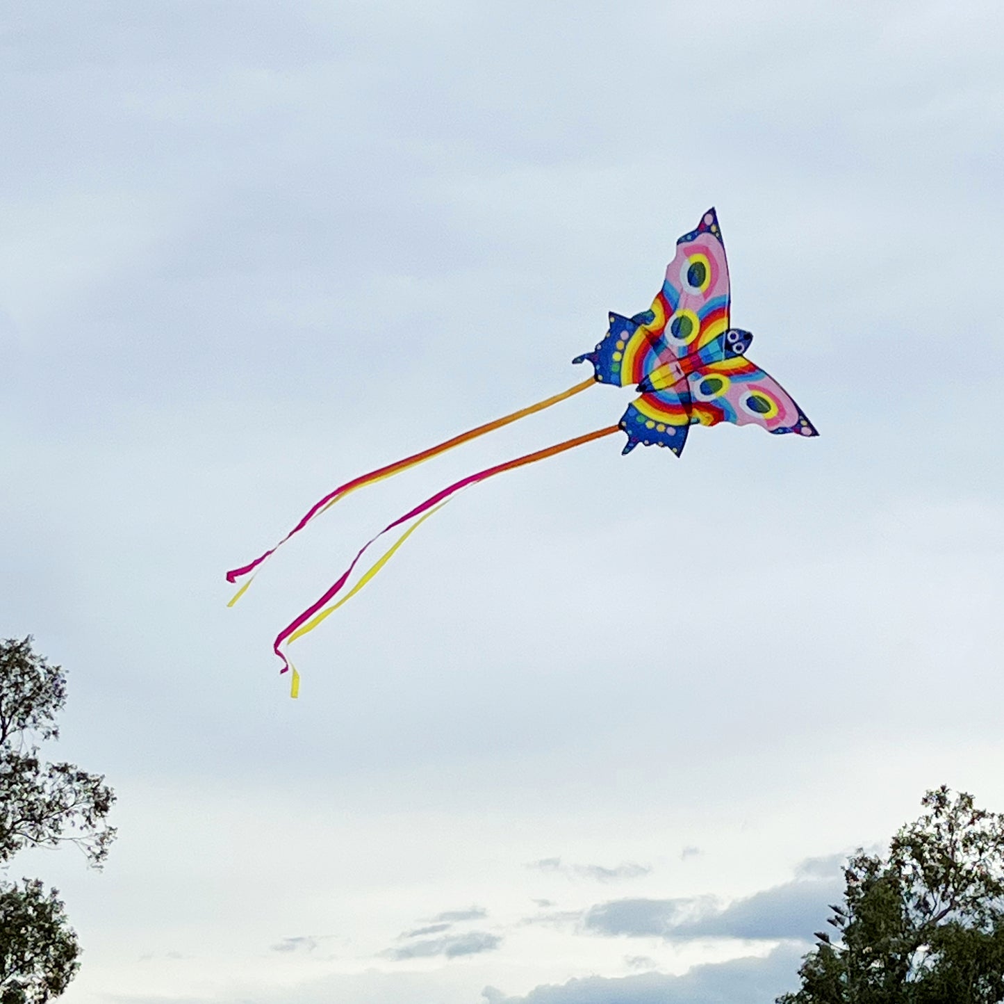 Kite - Butterfly