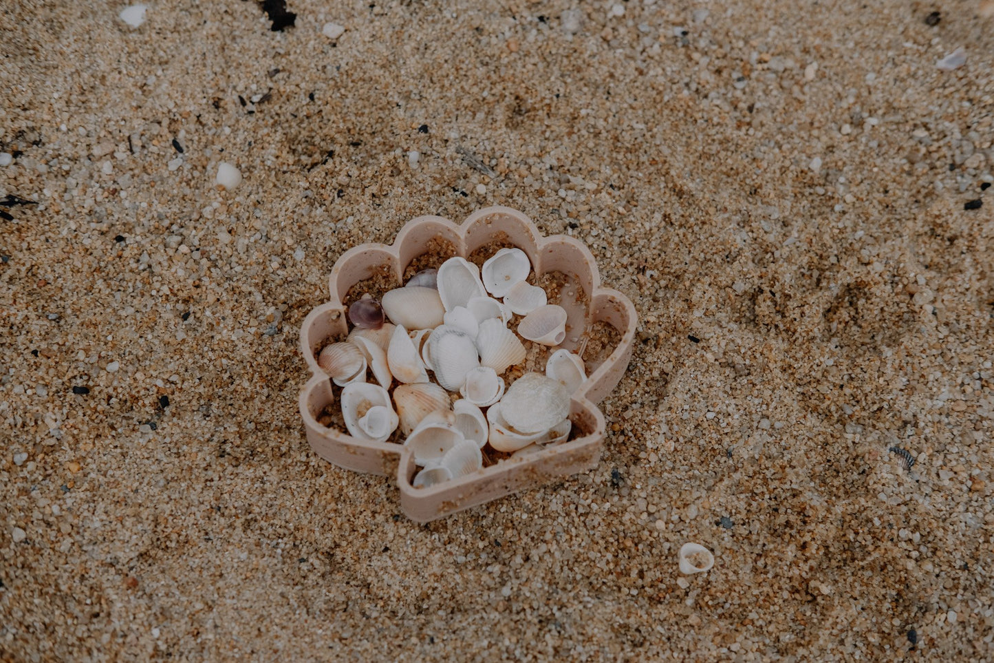 Eco Mould - Sea Shell
