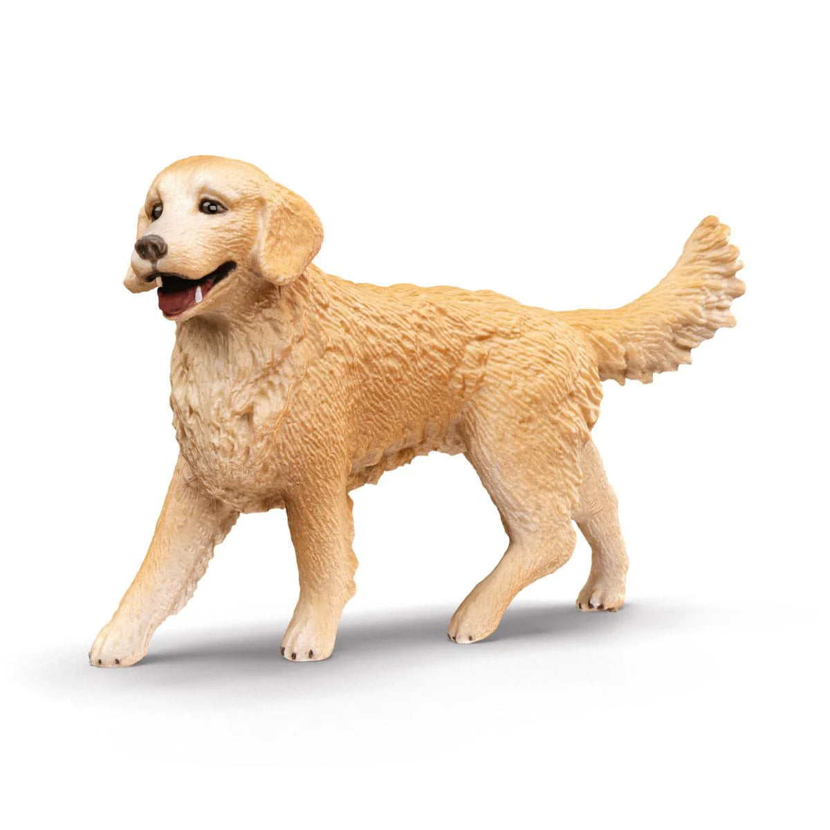 Dog Kennel with Golden Retrievers