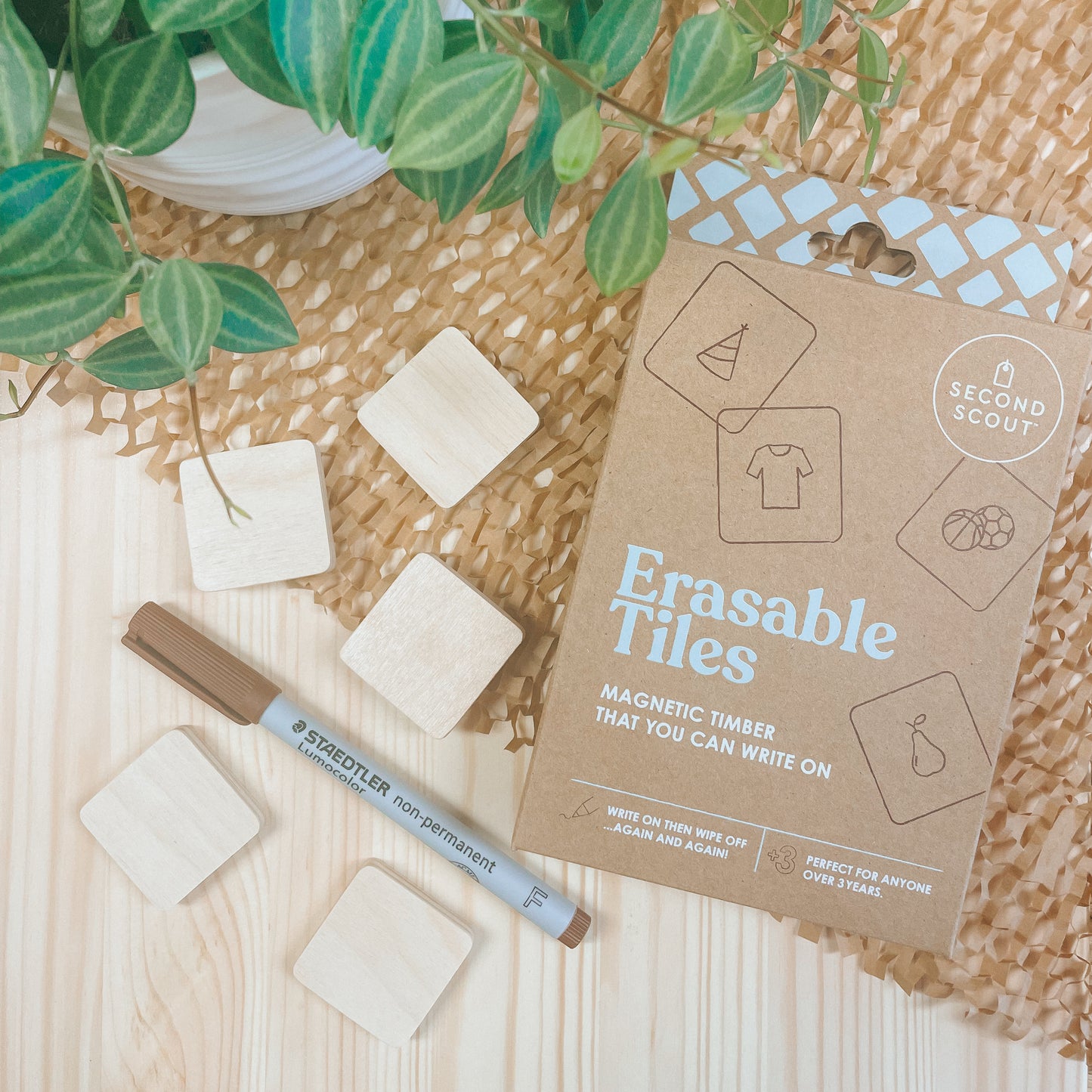 Picture Tiles - Erasable Blank Tiles