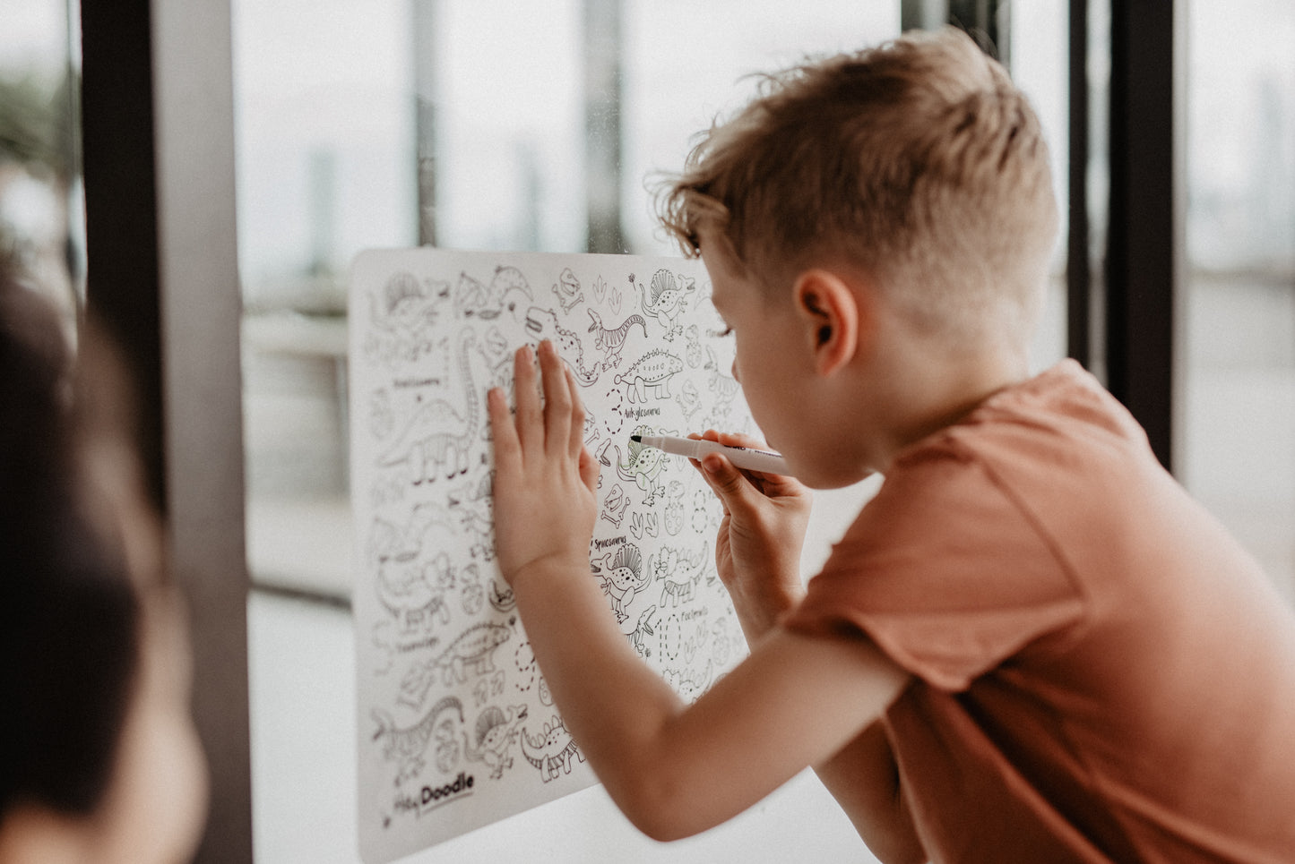 Wipeable Colouring In - DinoRoar