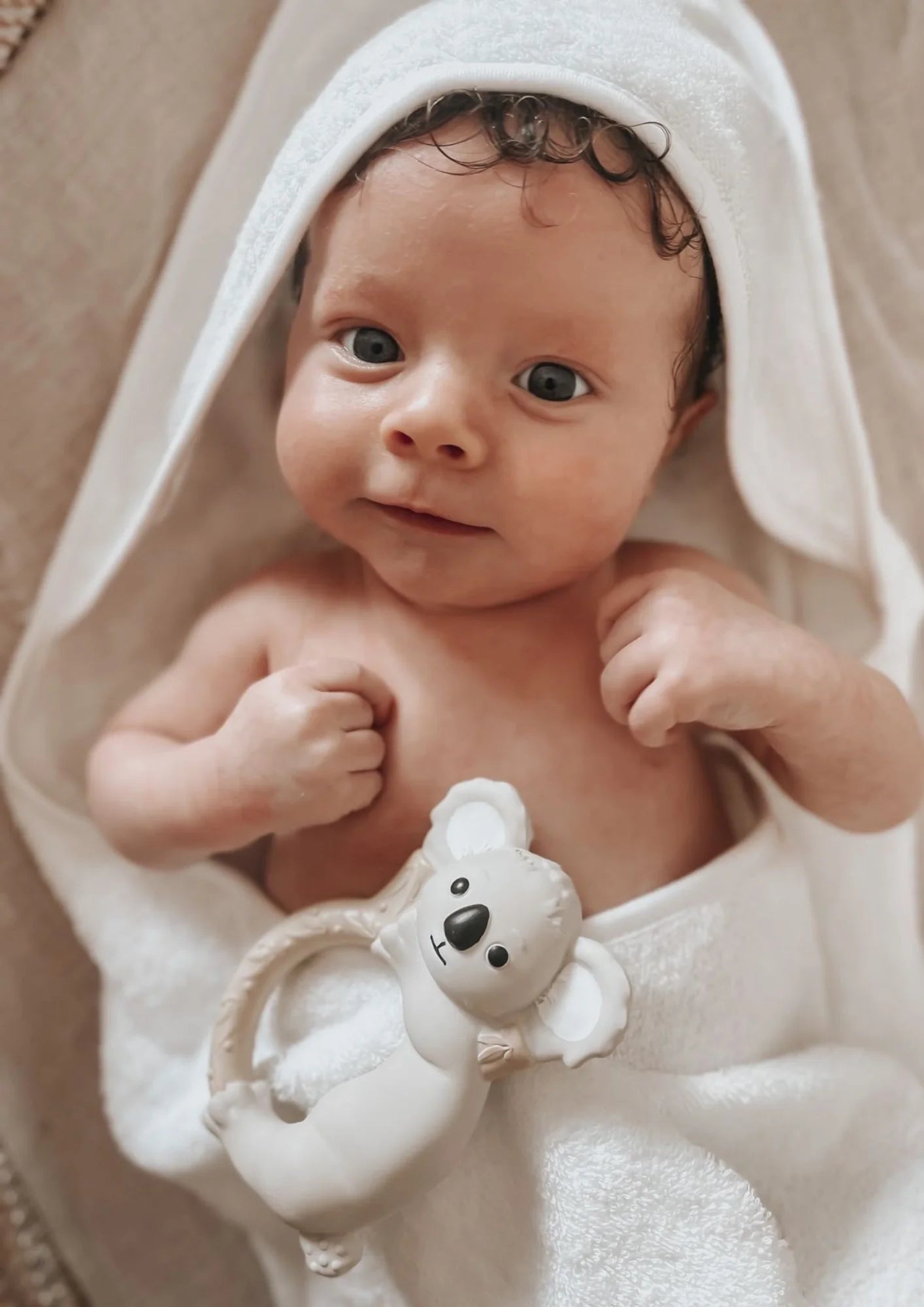 Banks the Koala - Teething Ring
