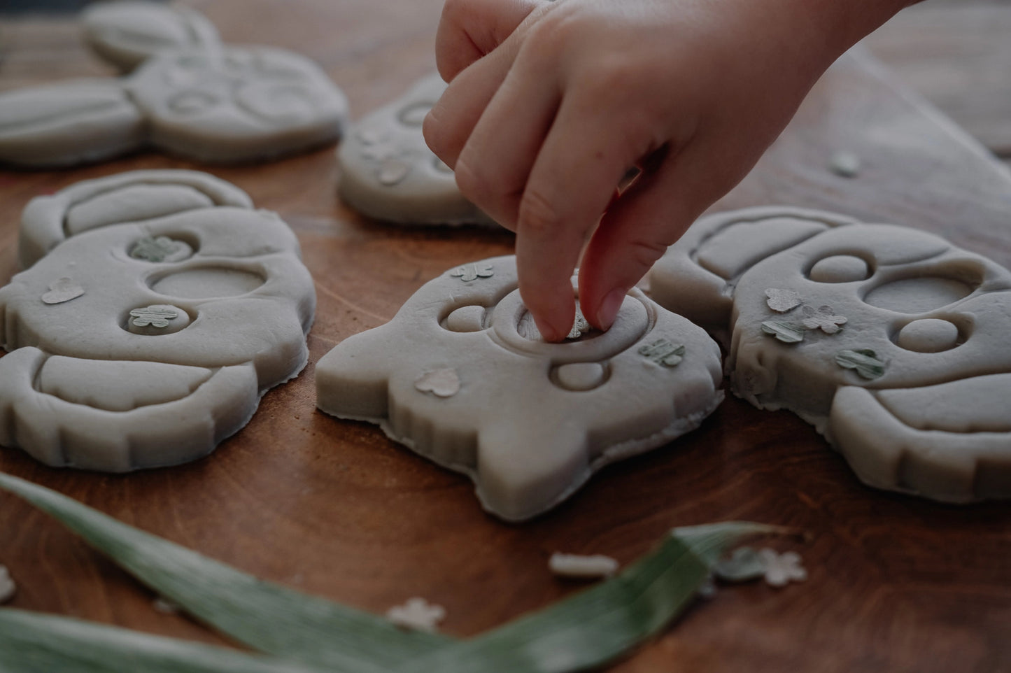 Eco Cutter Set - Aussie Animal Faces