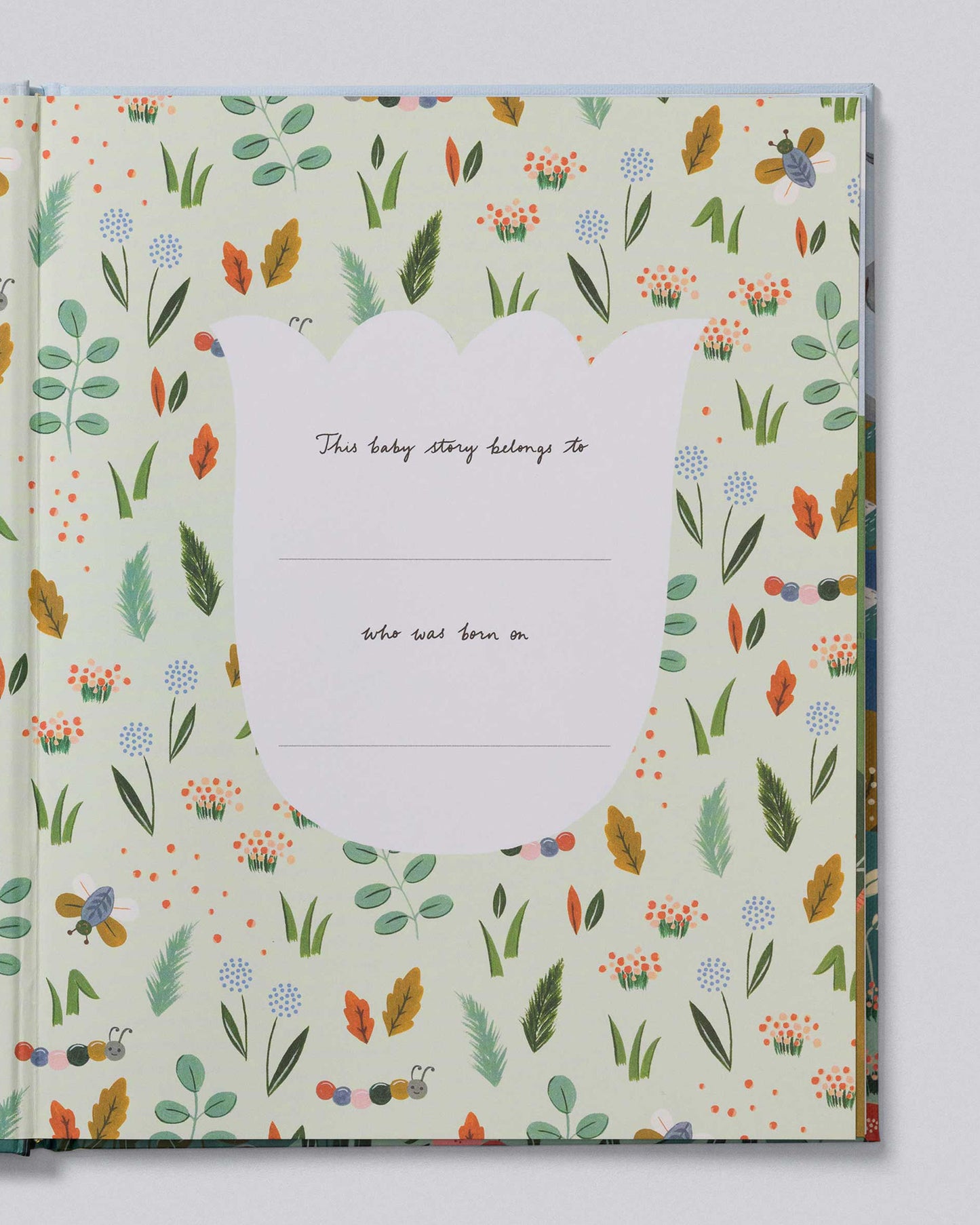 Your Baby Story - Illustrated Baby Journal
