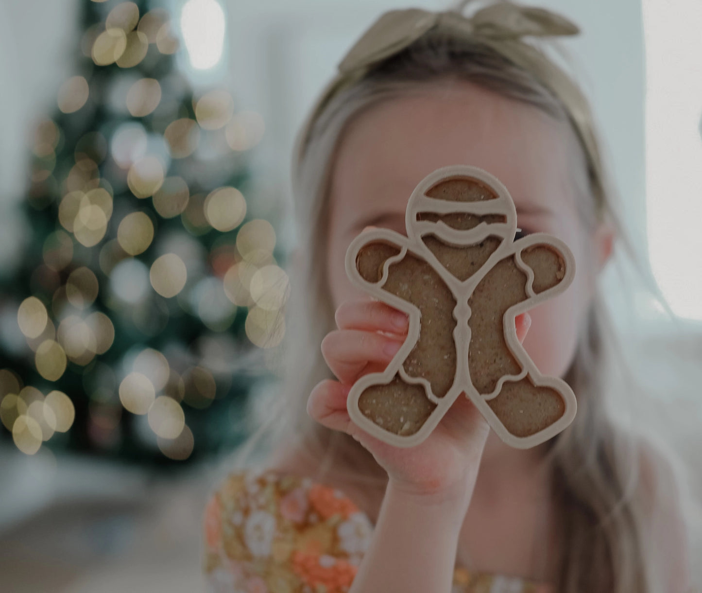 Eco Cutter Set - Gingerbread Man
