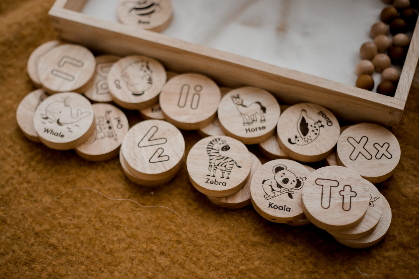 Alphabet Animal Disks