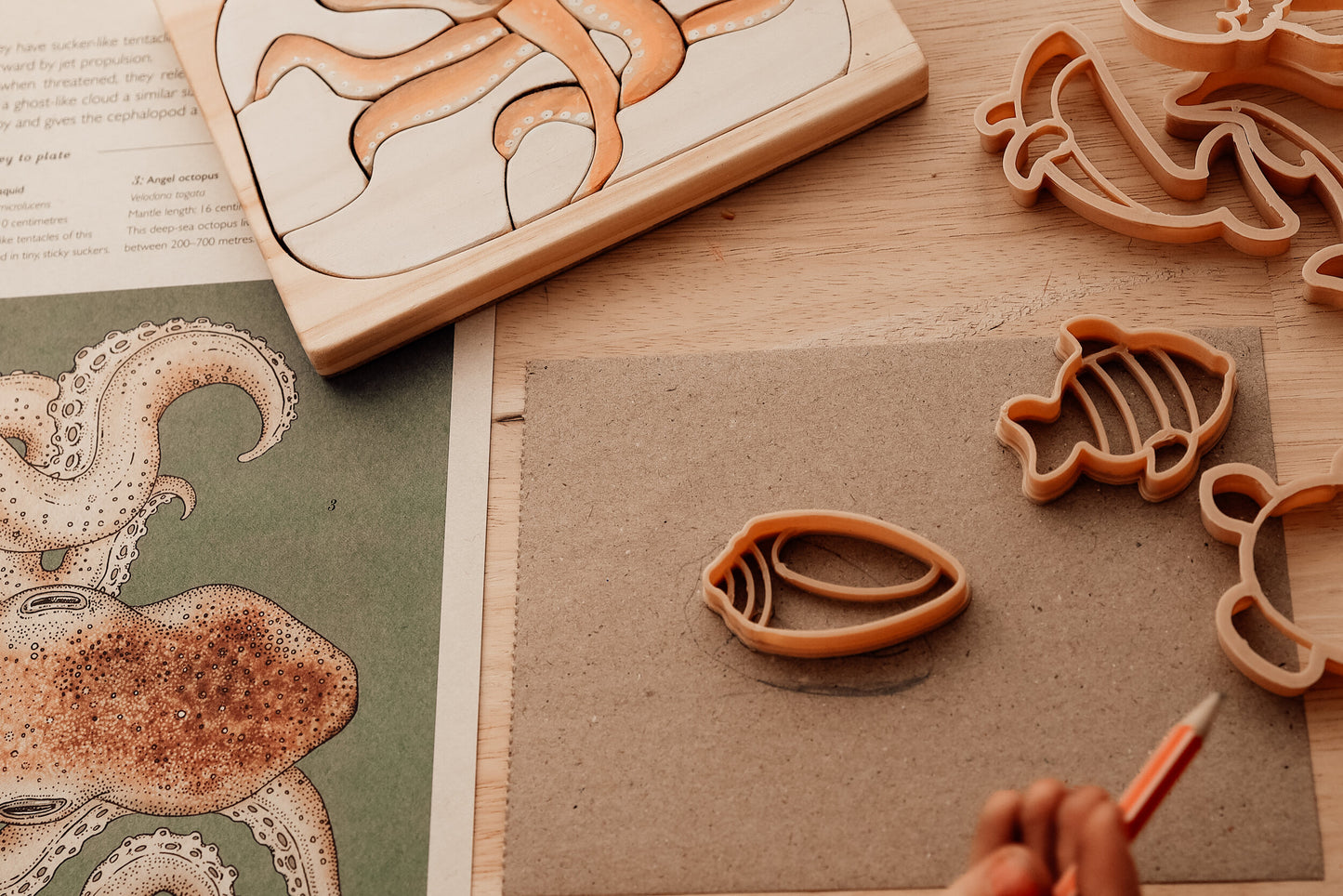 Eco Cutter Set - Under the Sea