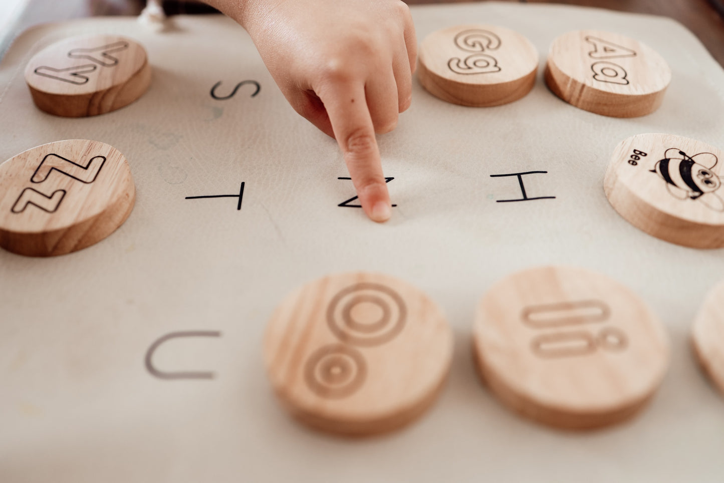 Alphabet Animal Disks