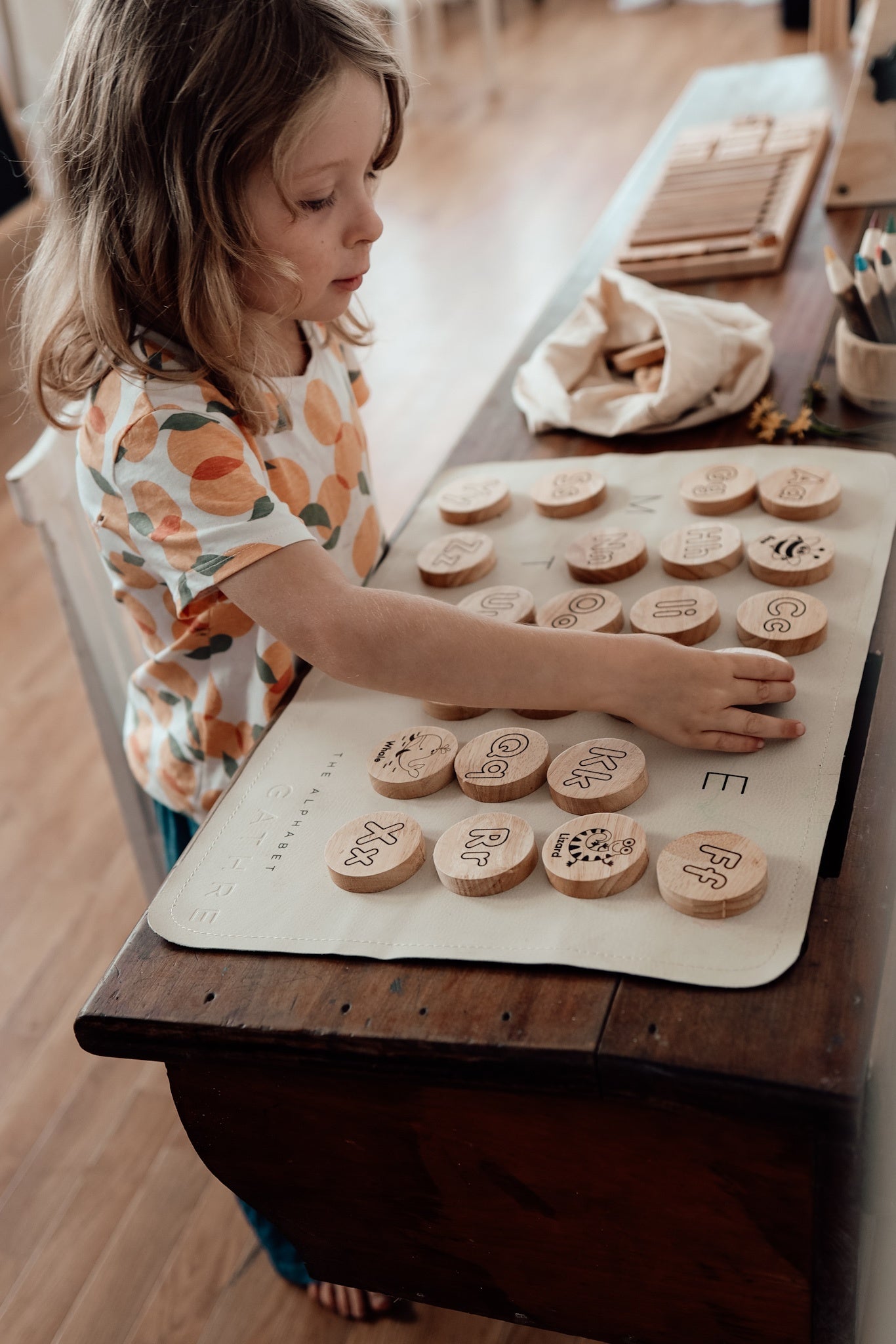 Alphabet Animal Disks