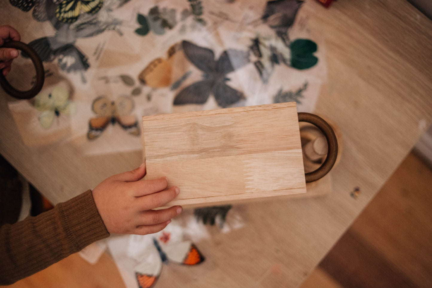 Montessori Ring Activity Set