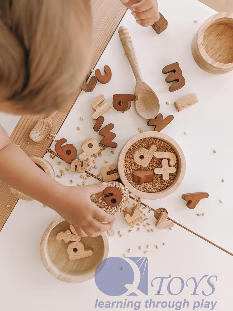 Wooden Lower Case Letters