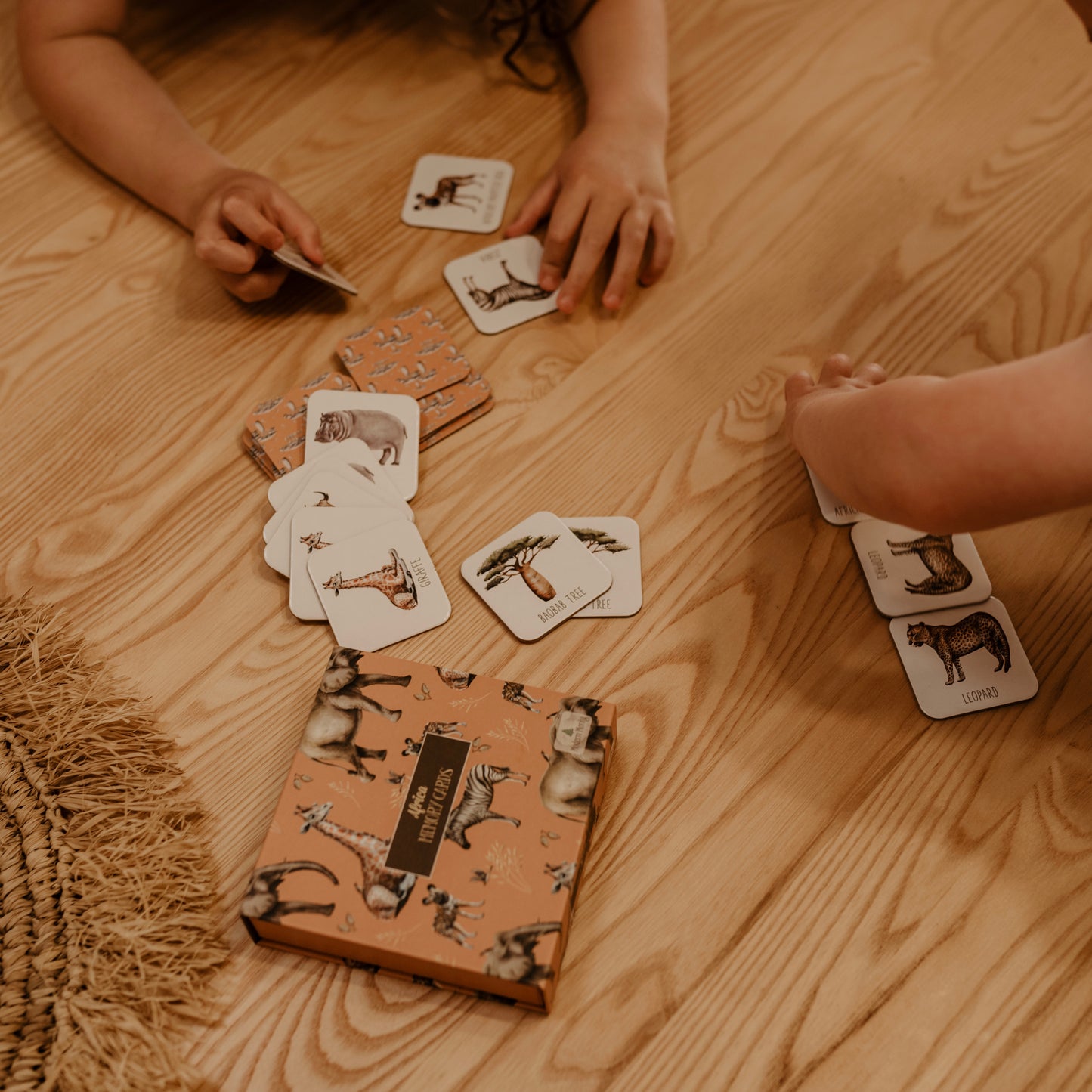 Memory Card Game - Africa