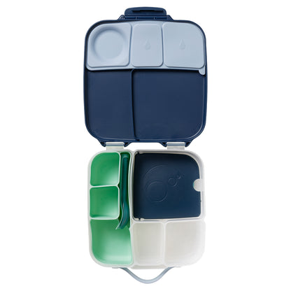 Bento Buddy - Lunch Tray - Forest