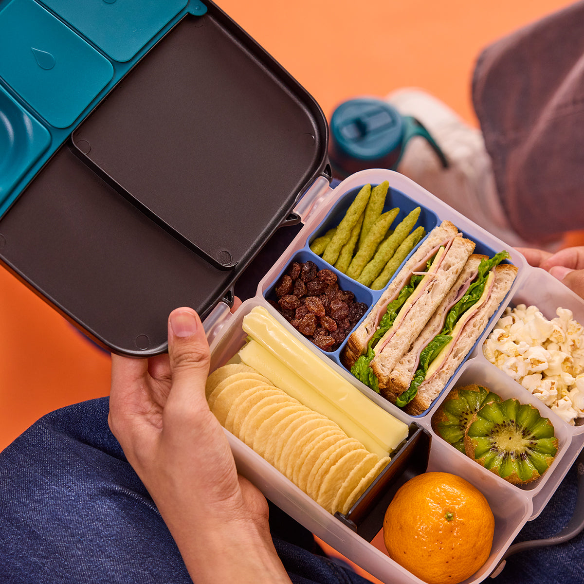 Bento Buddy - Lunchbox - Ocean