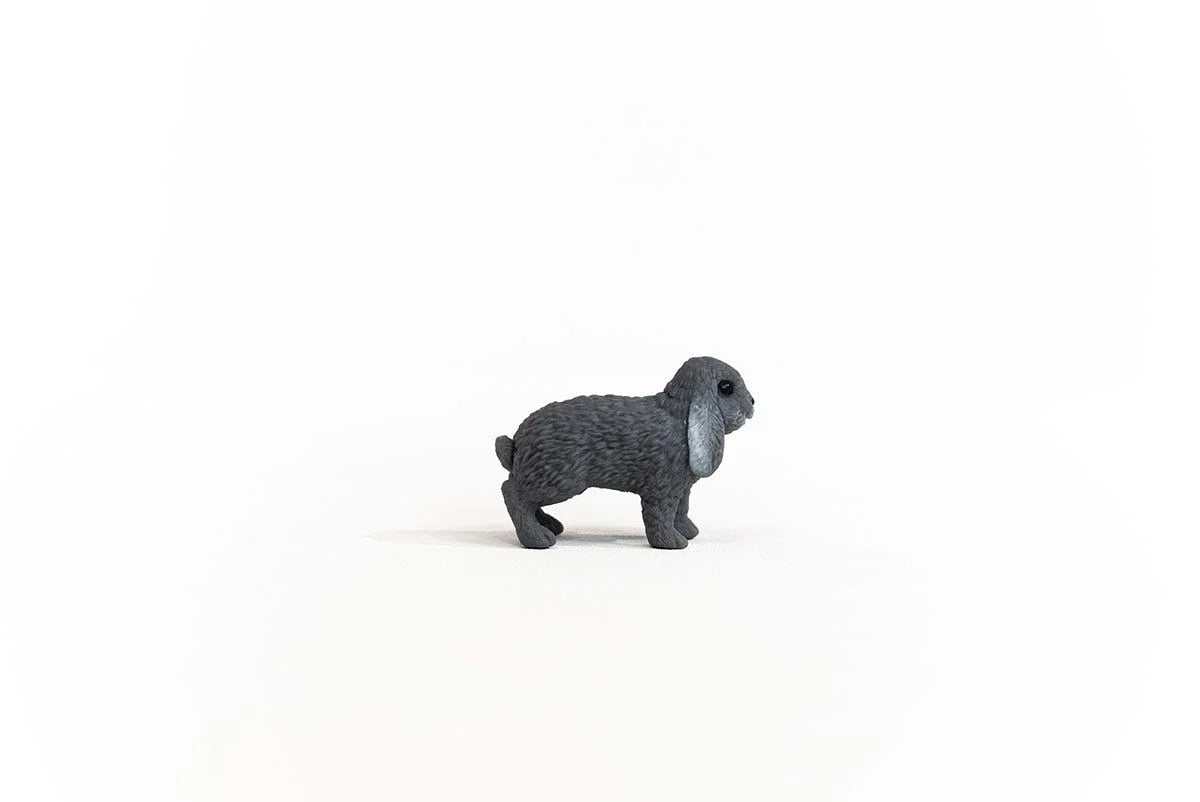 Rabbit - Lop Eared