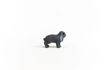Rabbit - Lop Eared