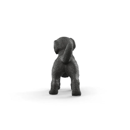 Black Labrador Retriever Puppy