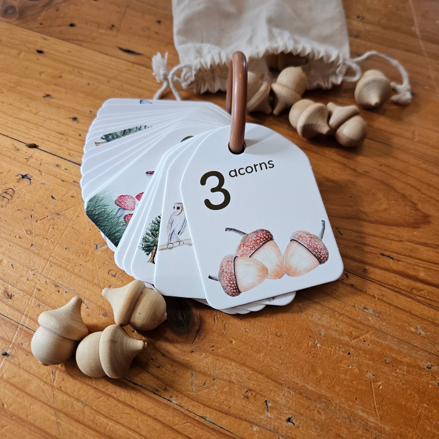 Flash Cards - Woodland Colours and Counting - Ringed