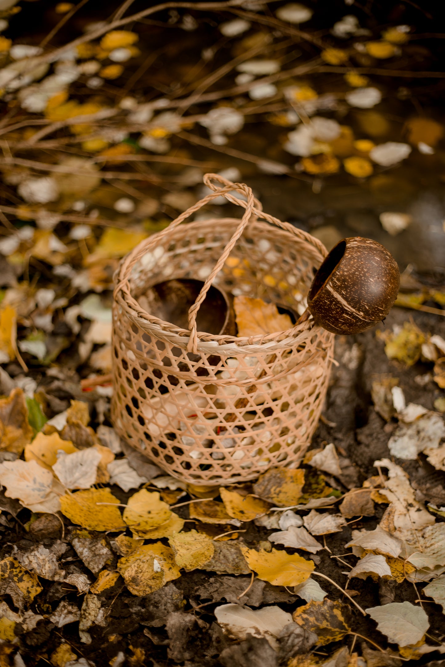 Beach Play Basket Toys