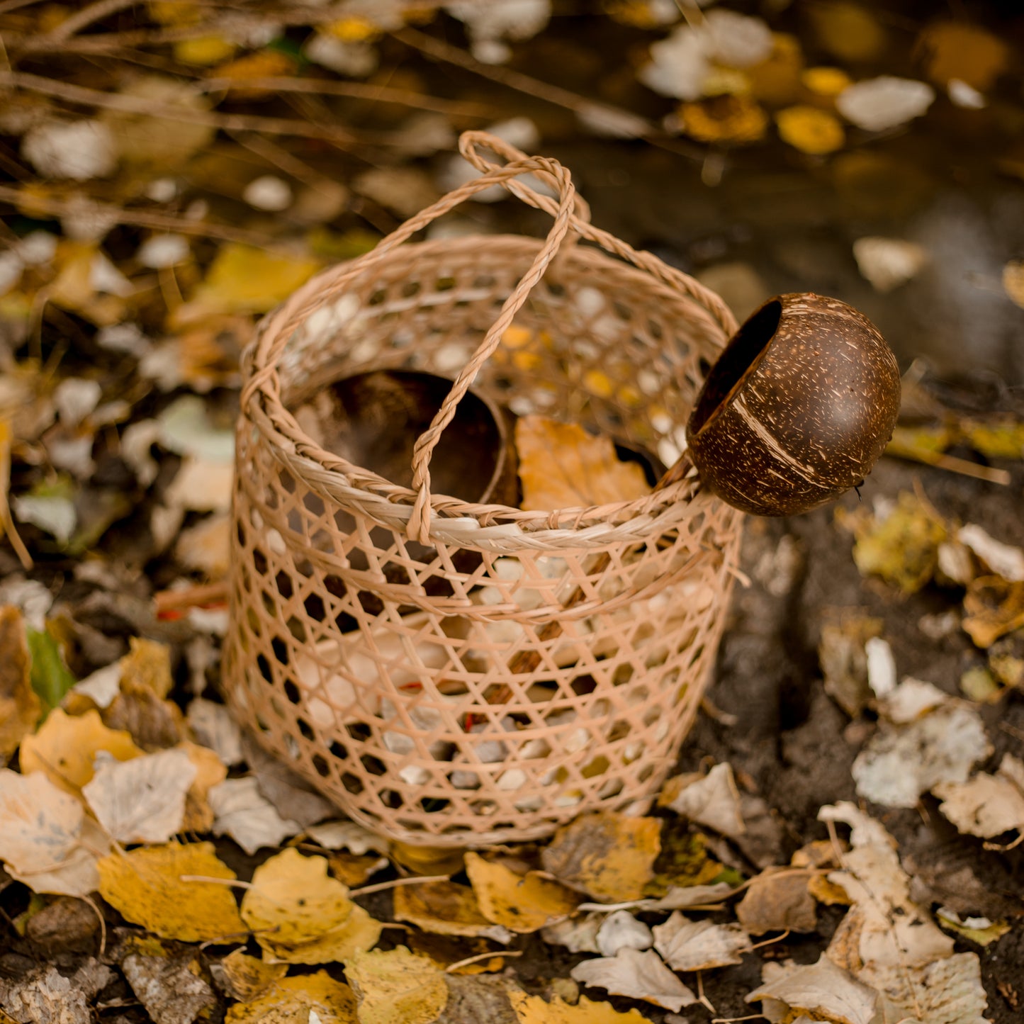 Beach Play Basket Toys