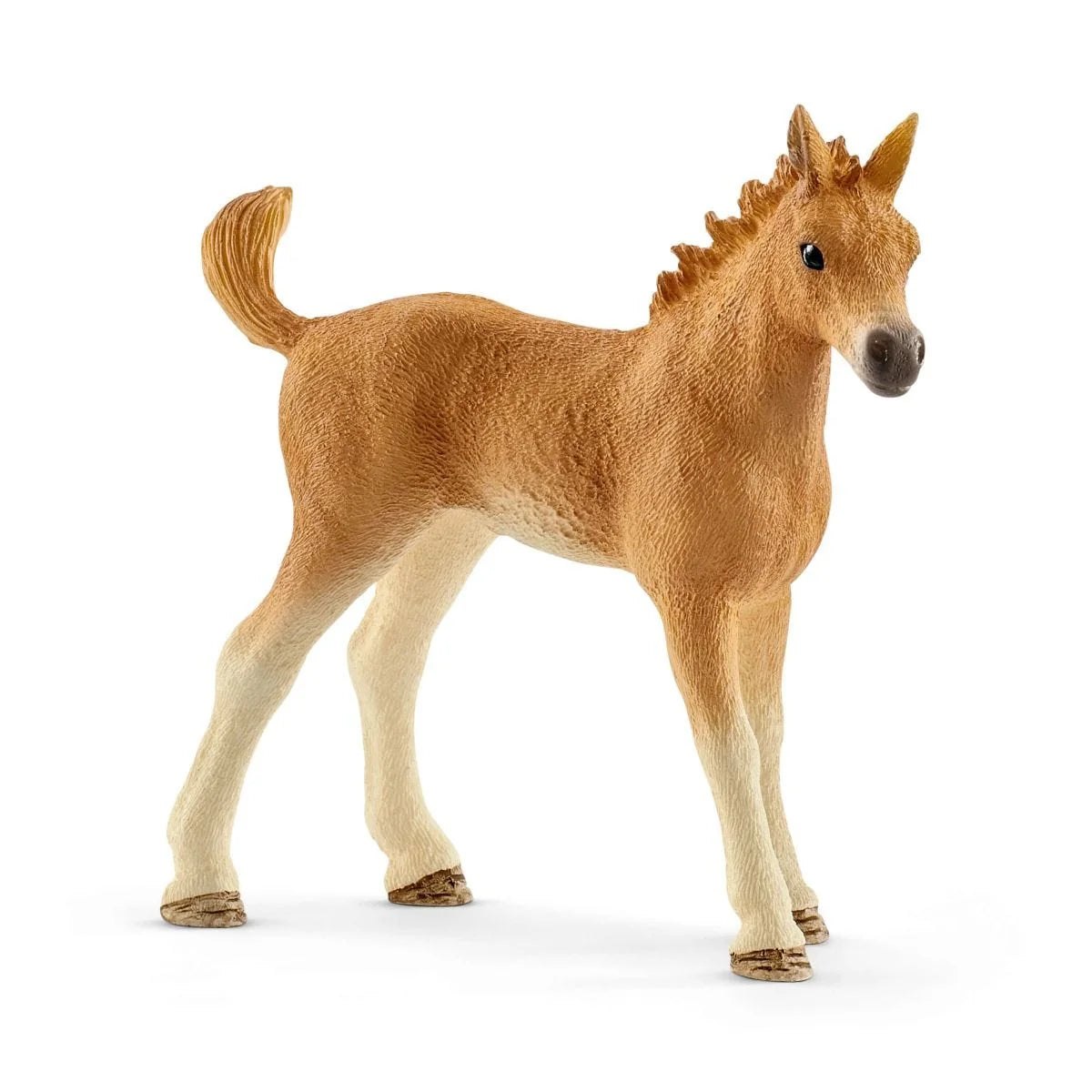 Horse Club - Sarah's Baby Animal Care