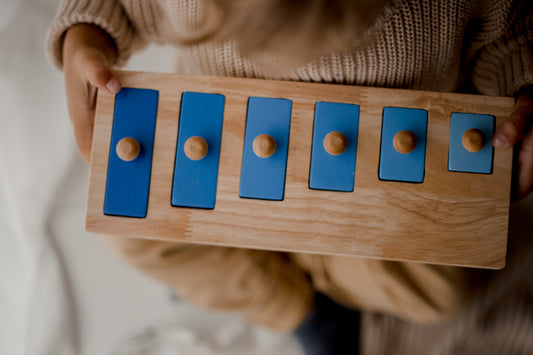 Wooden Peg Puzzle - Rectangle Seriation Puzzle