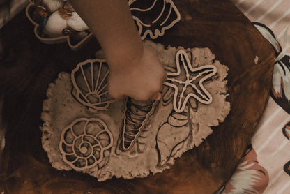 Eco Cutter Set - Sea Shell