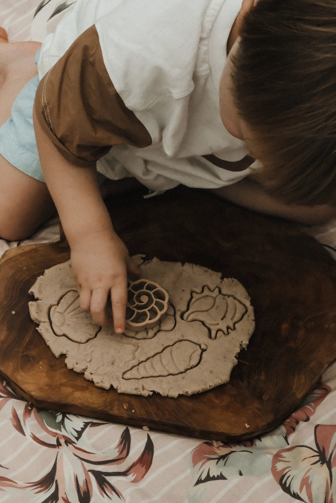 Eco Cutter Set - Sea Shell