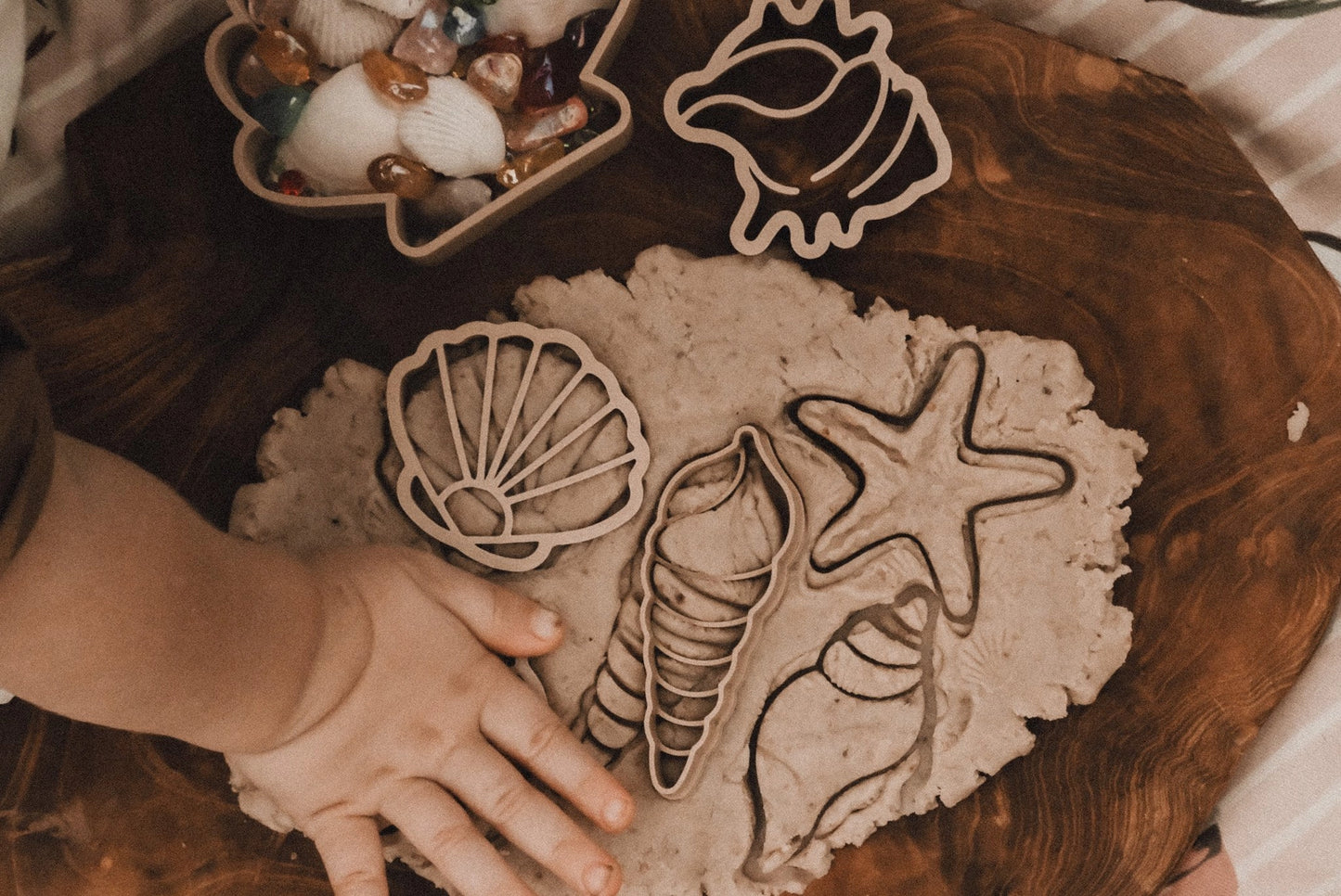 Eco Cutter Set - Sea Shell