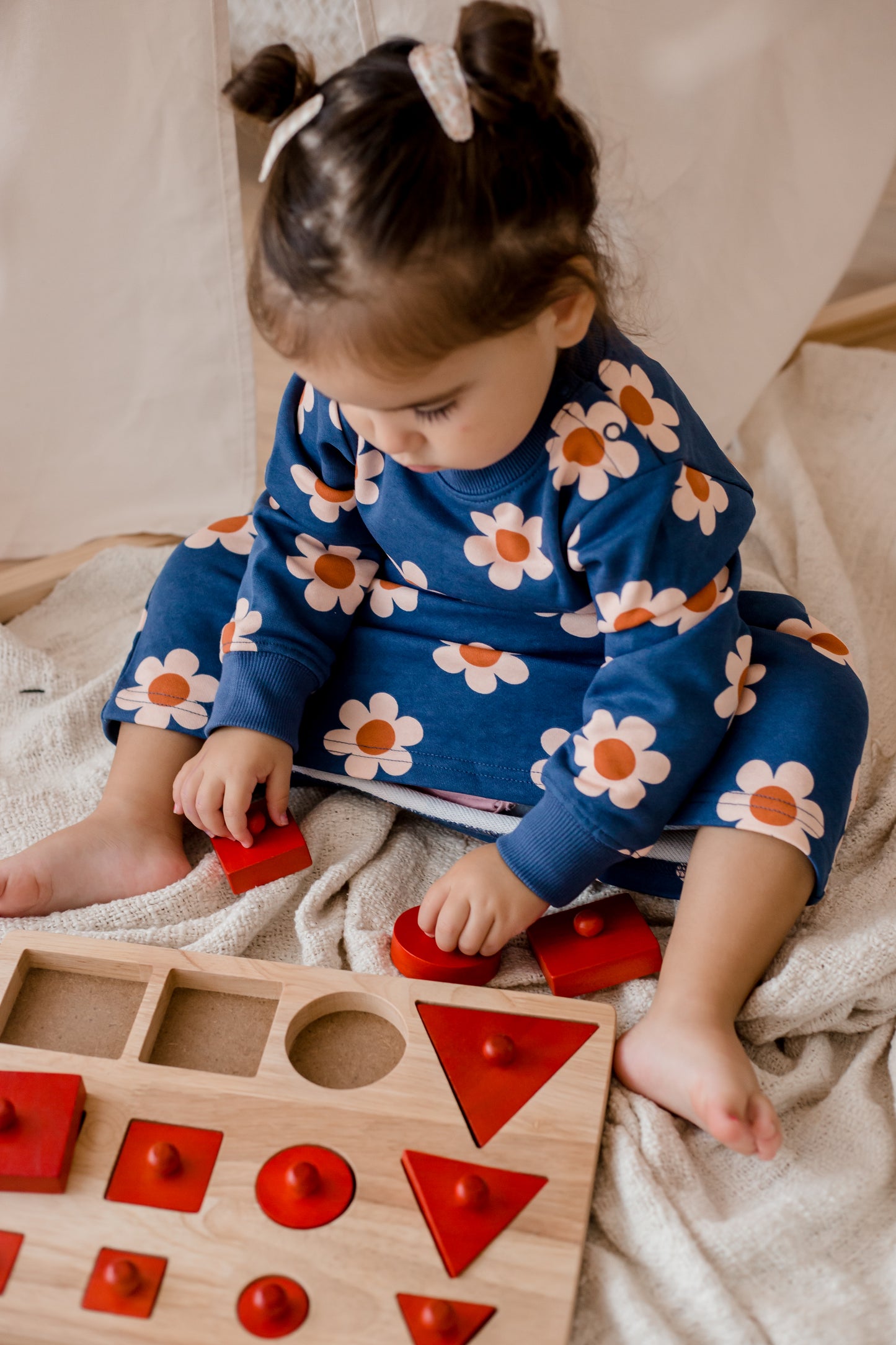 Shape Peg Puzzle Seriation