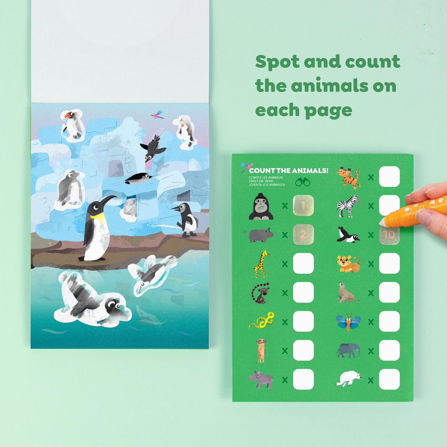 Colour Surprise - Zoo Adventure