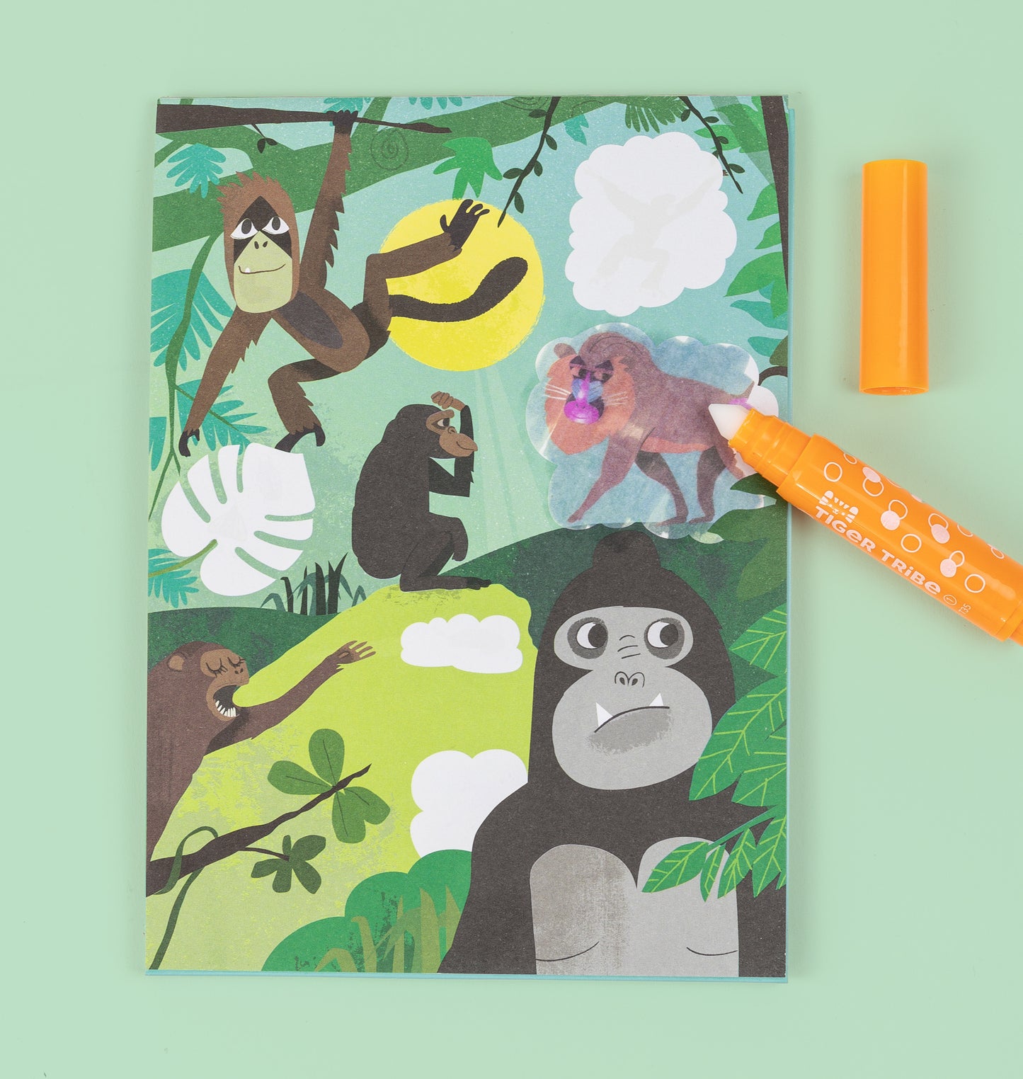 Colour Surprise - Zoo Adventure