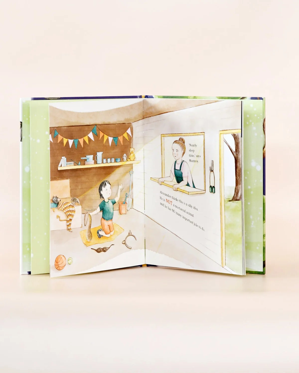 Book - I Am Not an Owl by Rhonda Ooi