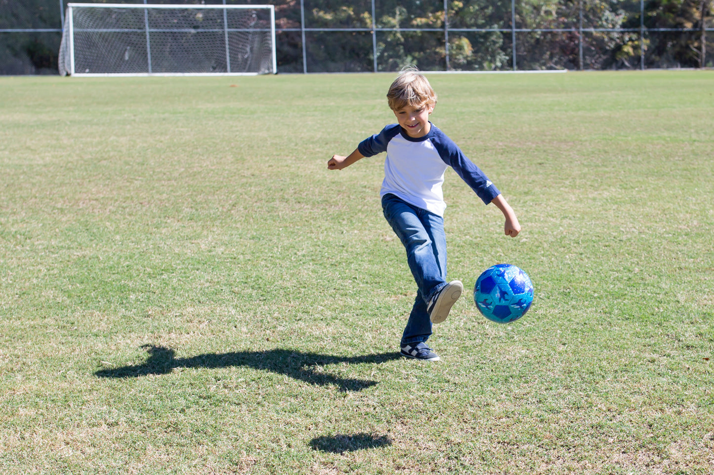 Size 3 Glitter Soccer Ball - Shark City