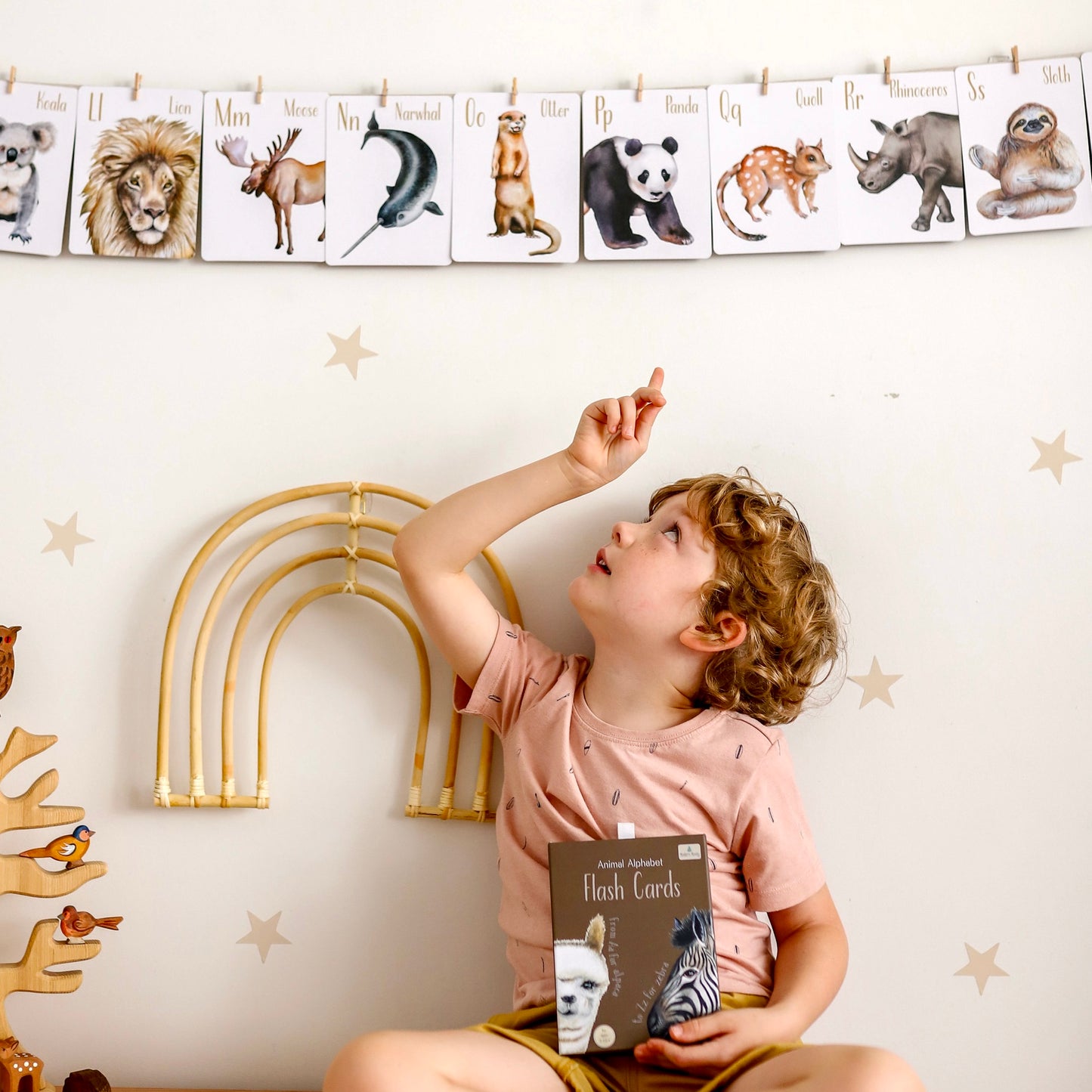 Flash Cards - Animal Alphabet
