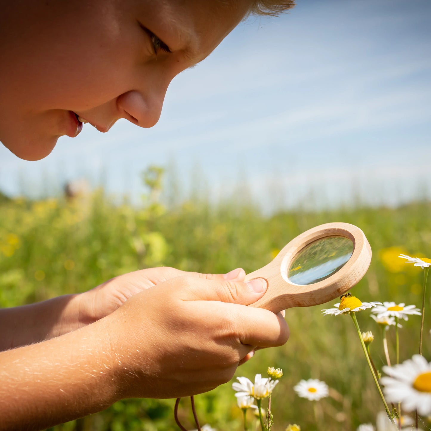 Dual Magnifying Glass