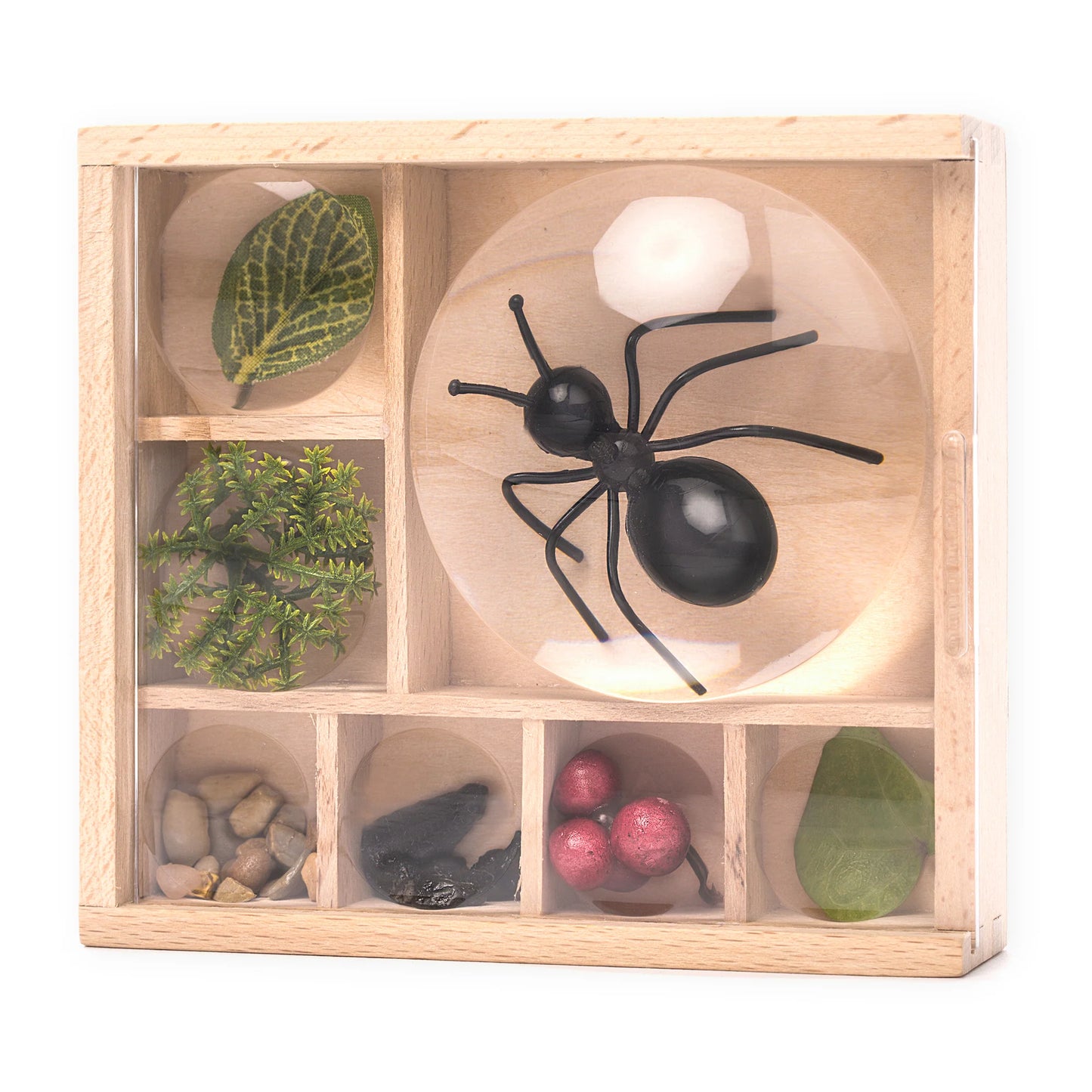 Bug Box