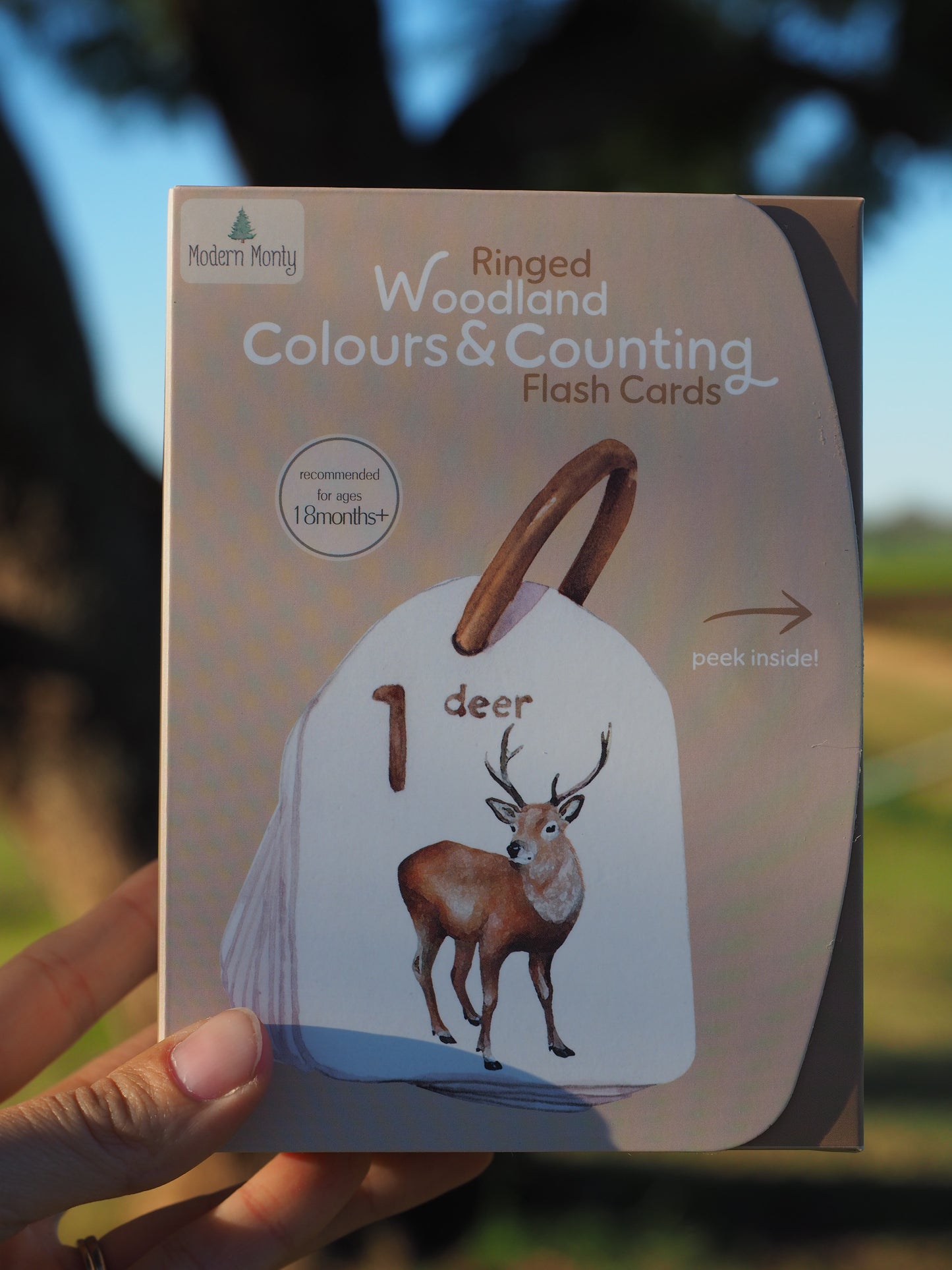 Flash Cards - Woodland Colours and Counting - Ringed