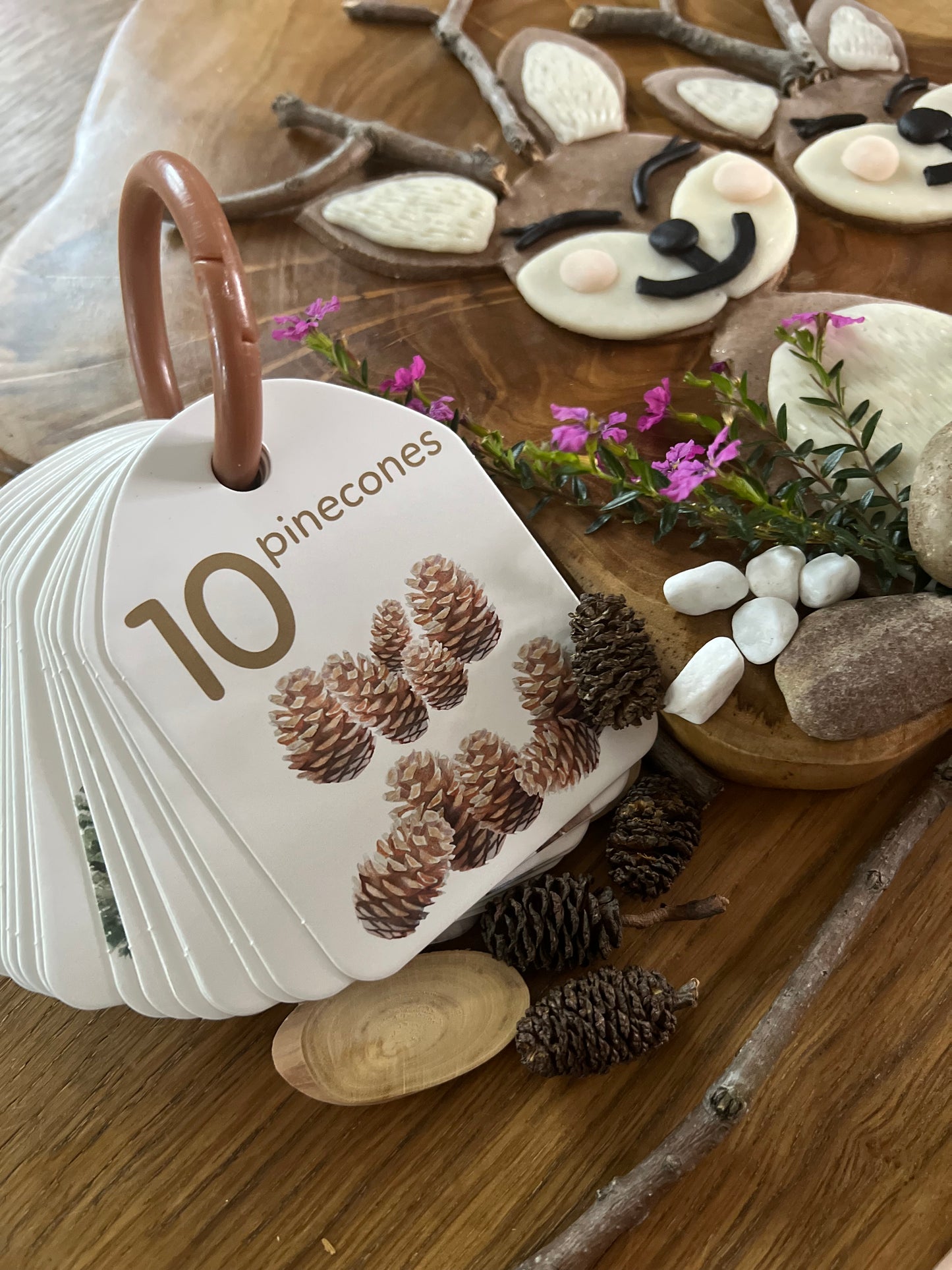 Flash Cards - Woodland Colours and Counting - Ringed