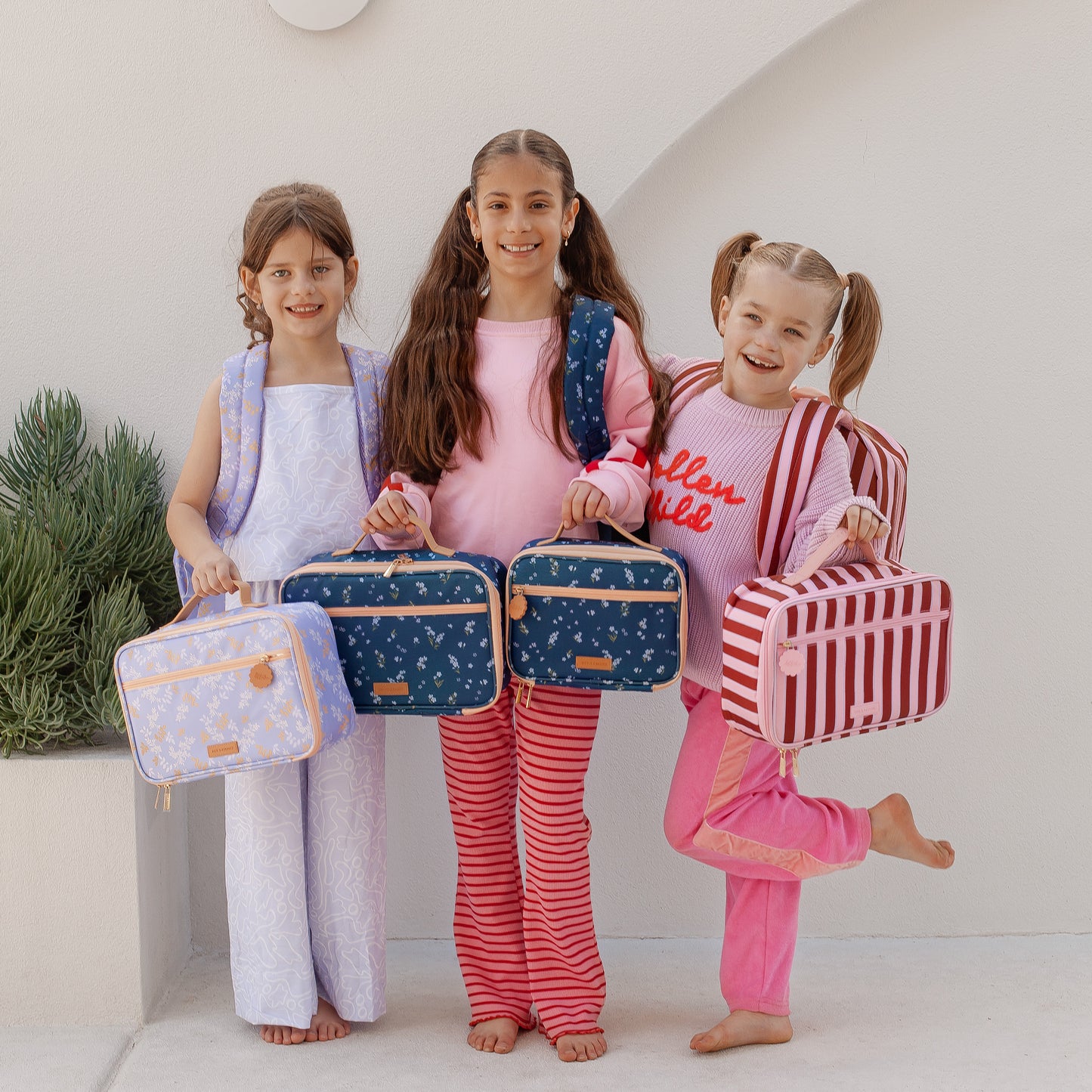 Large Lunch Bag - Burgundy Stripe